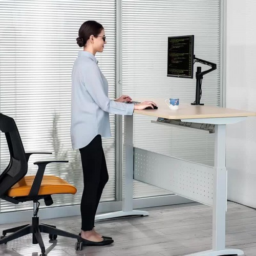 Exeo OL-1 Ayarlanabilir Tek Kol Amortisörlü Monitör Masa Tutucu Aparat Exeo OL-1 Ayarlanabilir Tek Kol Amortisörlü Monitör Masa Tutucu Aparat