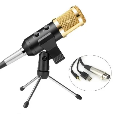 Exeo BM900 Ekolu Profesyonel Youtuber Stüdyo Kayıt Mikrofonu 