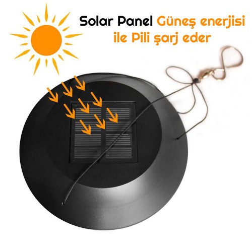 Exeo Kelebek Motif Dekoratif Bahçe Balkon Süsleme Solar LED Exeo Kelebek Motif Dekoratif Bahçe Balkon Süsleme Solar LED