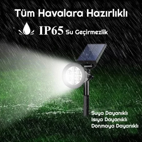 Exeo Solar RGB LED Bahçe Aydınlatma Güneş Enerjili Lamba